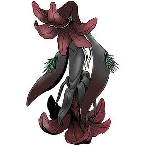 Oleamon