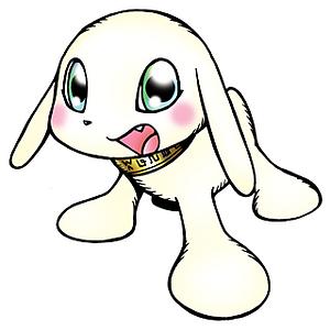 Salamon