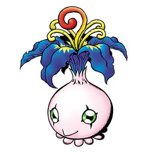 Yokomon
