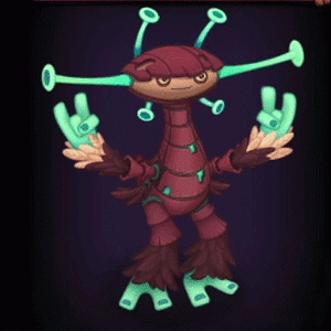 Rare Piplash